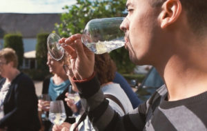 Dégustation de gin